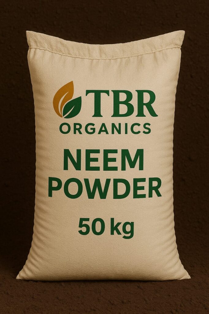 whatsapp image 2025 05 02 at 8.57.30 pm